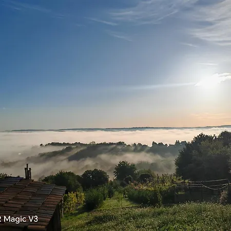 Lacrima Del Mare Zalaegerszeg